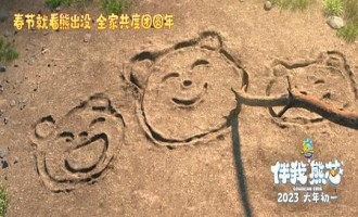 《熊出没·伴我“熊芯”》百度云网盘(1080P已更新)中字资源已完结