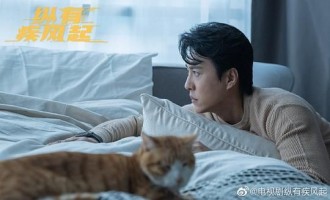 纵有疾风起-全集百度云网盘完整无删减资源